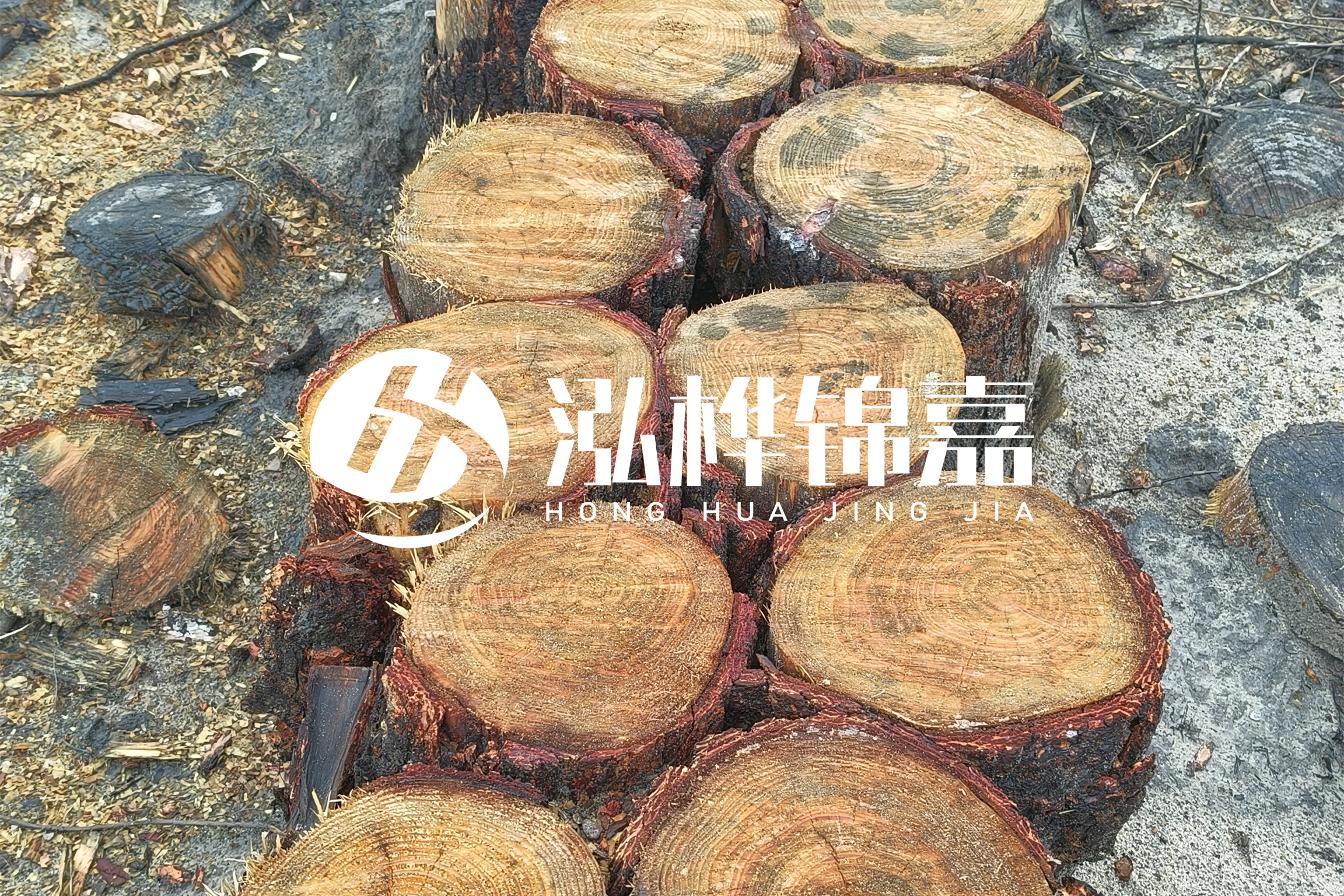 浙江臺(tái)州有清淤的公司嗎？浙江臺(tái)州有清淤施工隊(duì)嗎？