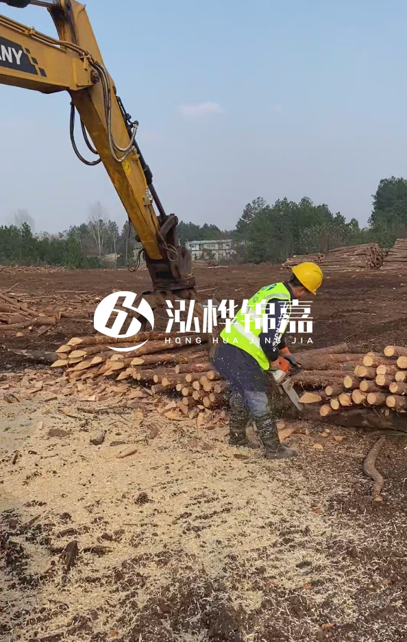 銅陵挖機打木樁專業(yè)施工-打松木樁一般算米還是算根？