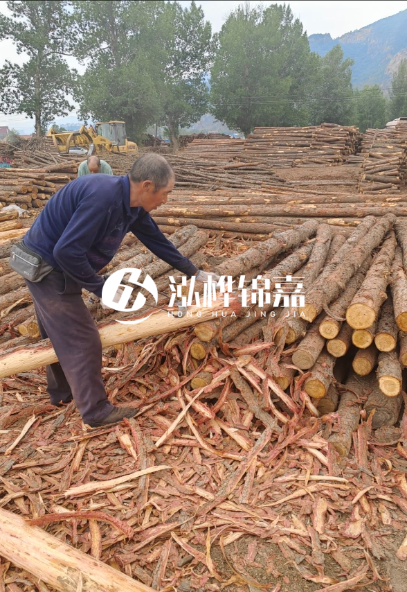 東營河道清淤專業(yè)施工隊-不同型號挖機清淤能力對比？