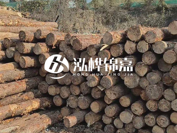 落葉松木材的主要產(chǎn)地在哪里？為什么比其他松木更耐腐蝕？