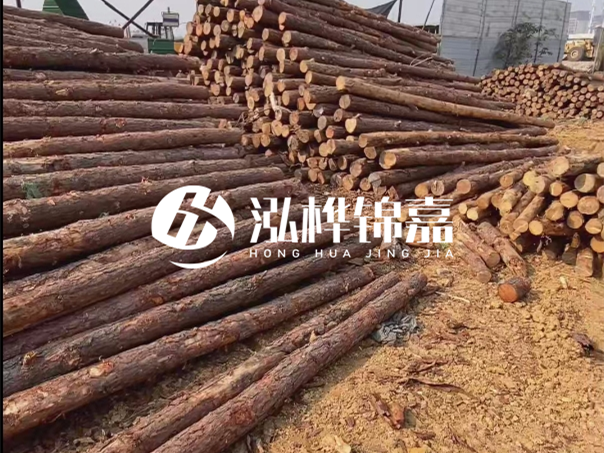 河道木樁施工遇到淤泥怎么辦？打多深才能防沖刷？