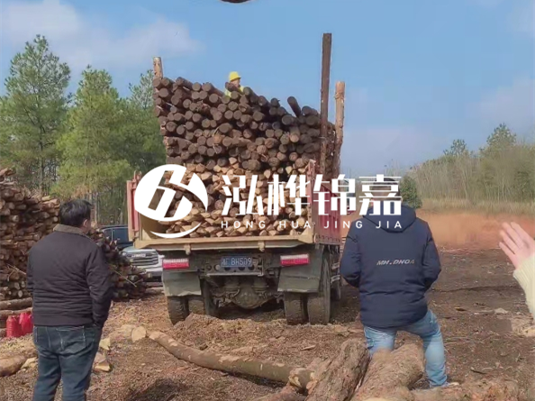 防腐木樁價格比普通木樁貴多少？防腐木樁有哪些處理方式？