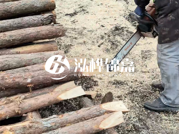 杉木樁批發(fā)廠家哪家好？產(chǎn)地直供渠道推薦！