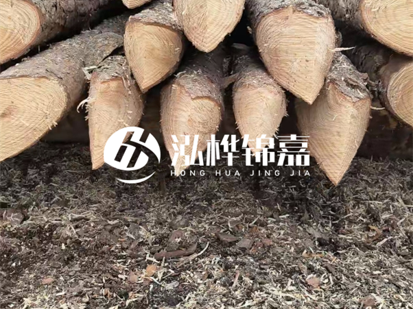 打樁木樁與鋼樁相比有哪些優(yōu)缺點？如何進行后期維護？